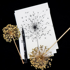 uni-ball Feutre technique PIN Brush, noir