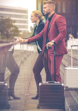 ALUMAXX Business Valise à roulettes GEMINI, argent