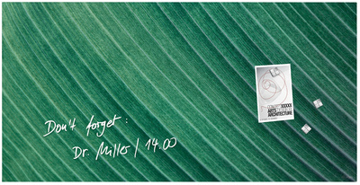 sigel Tableau magnétique en verre Artverum Design Palm Leaf