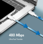 LogiLink Câble USB 2.0, USB-C - USB-C, 1,0 m, vert